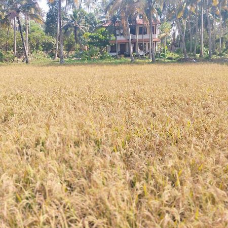 Готель Paddy Farm Heritage Варкала Екстер'єр фото