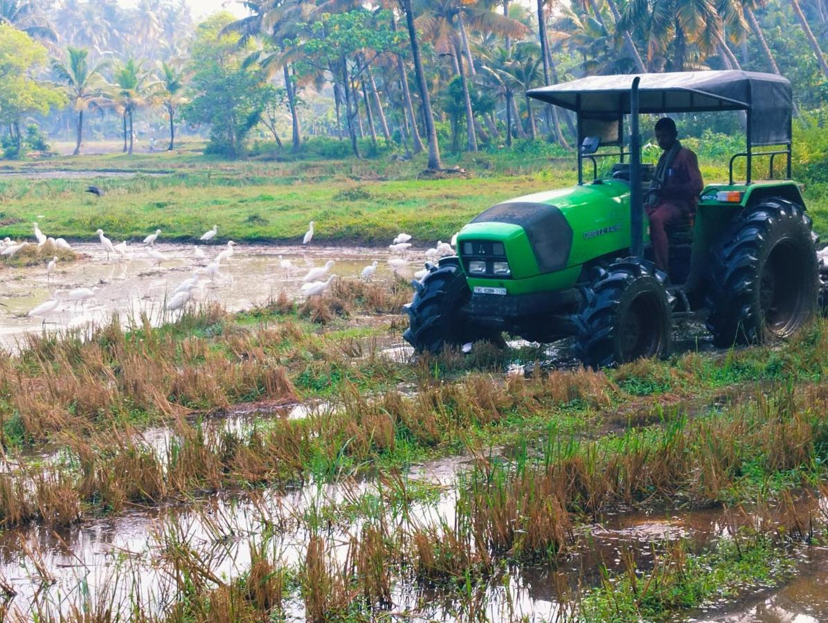 Готель Paddy Farm Heritage Варкала Номер фото