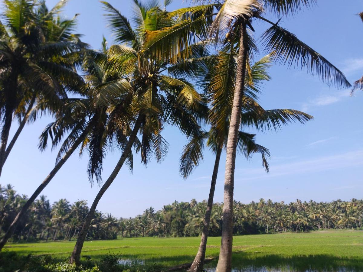 Готель Paddy Farm Heritage Варкала Екстер'єр фото