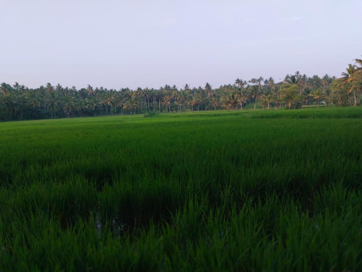 Готель Paddy Farm Heritage Варкала Екстер'єр фото