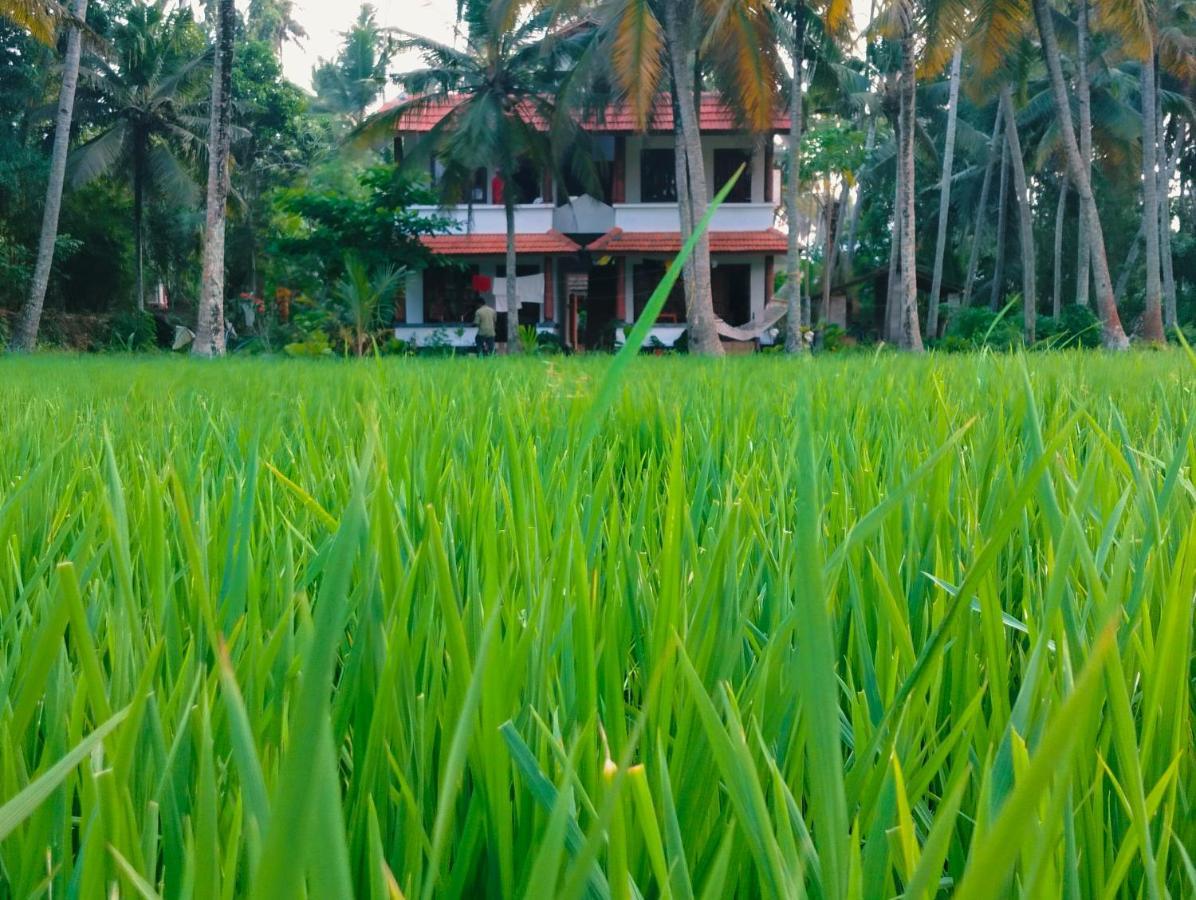 Готель Paddy Farm Heritage Варкала Екстер'єр фото