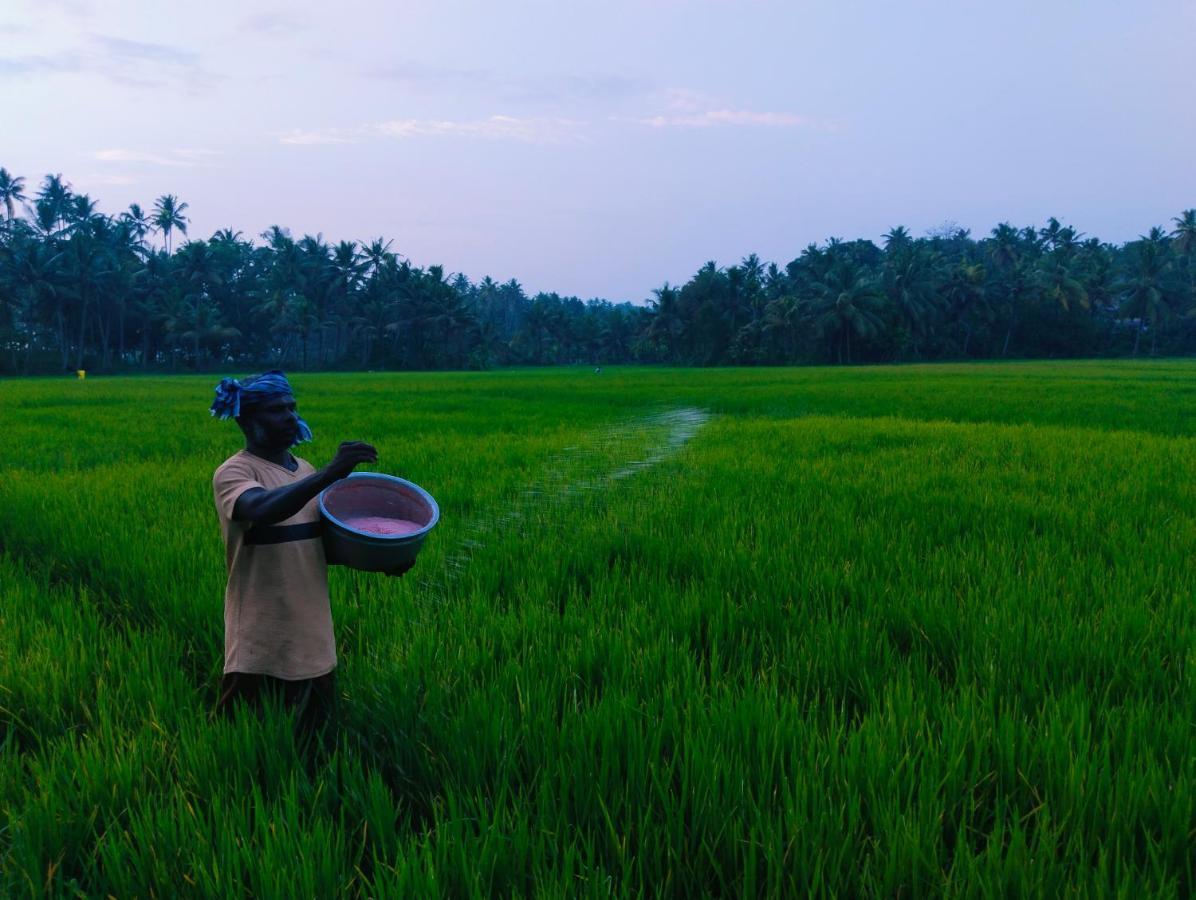 Готель Paddy Farm Heritage Варкала Екстер'єр фото