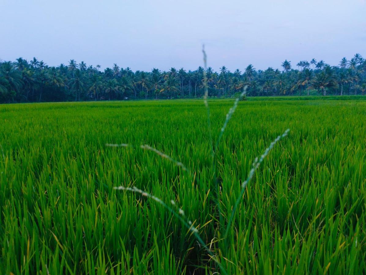 Готель Paddy Farm Heritage Варкала Екстер'єр фото