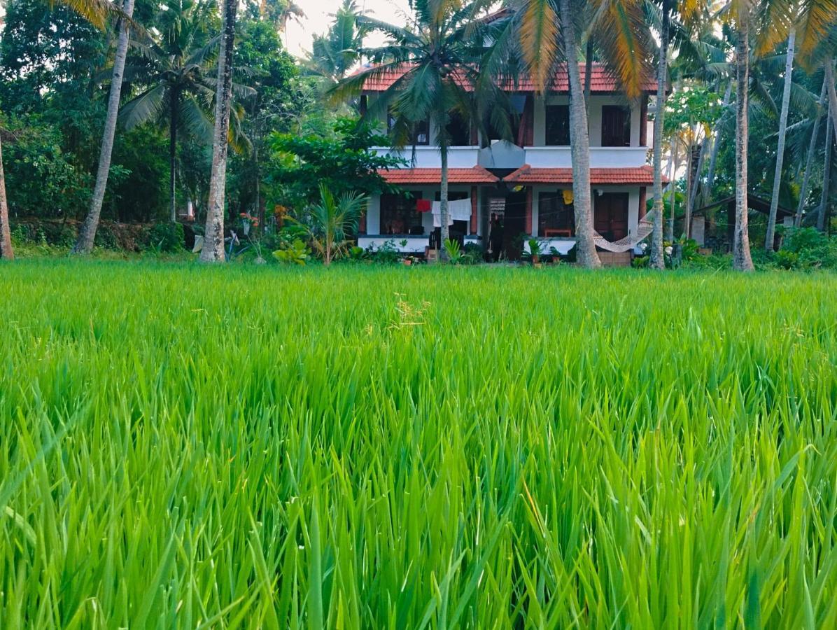 Готель Paddy Farm Heritage Варкала Екстер'єр фото