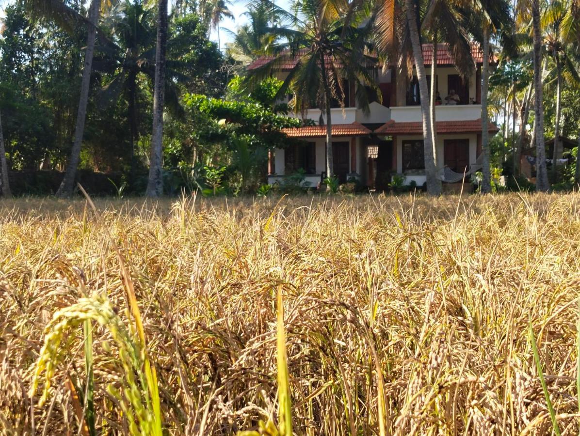 Готель Paddy Farm Heritage Варкала Екстер'єр фото