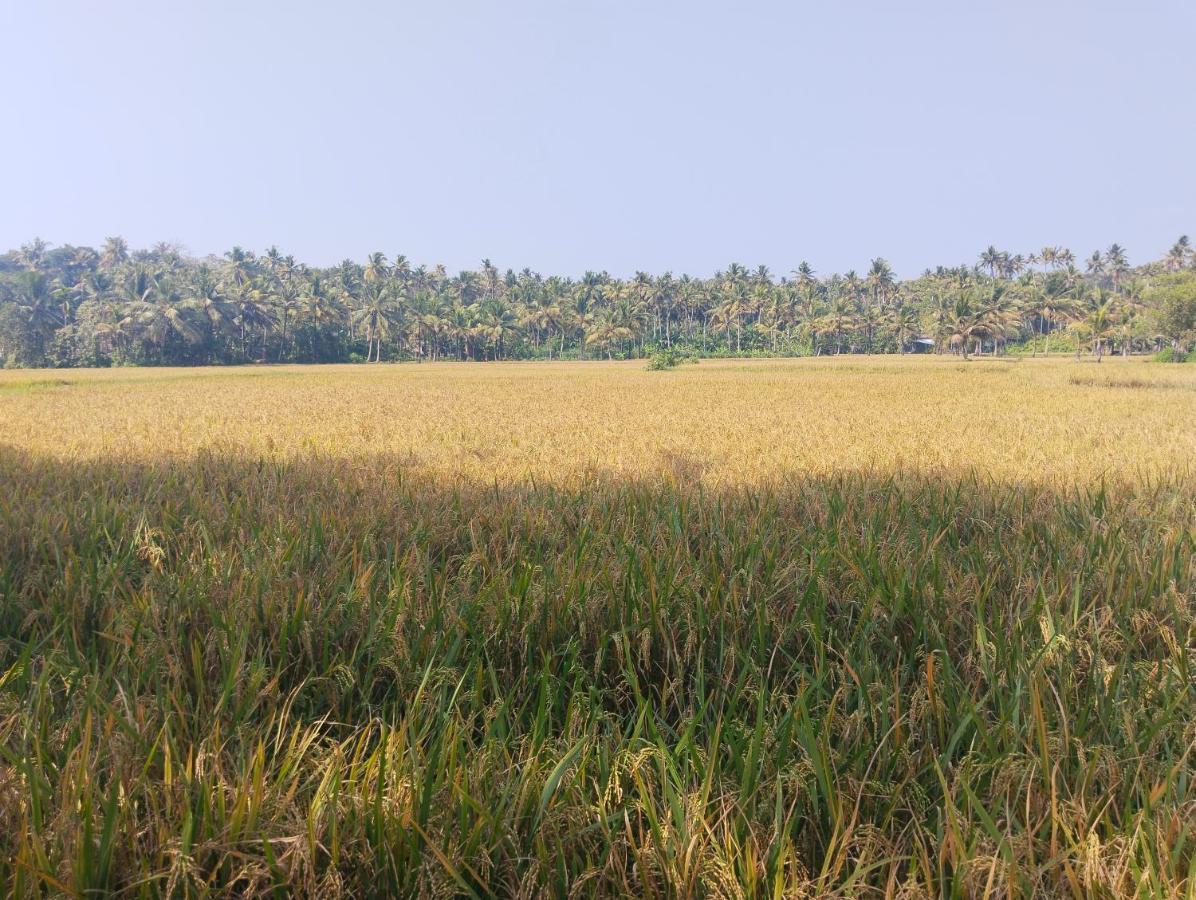 Готель Paddy Farm Heritage Варкала Екстер'єр фото