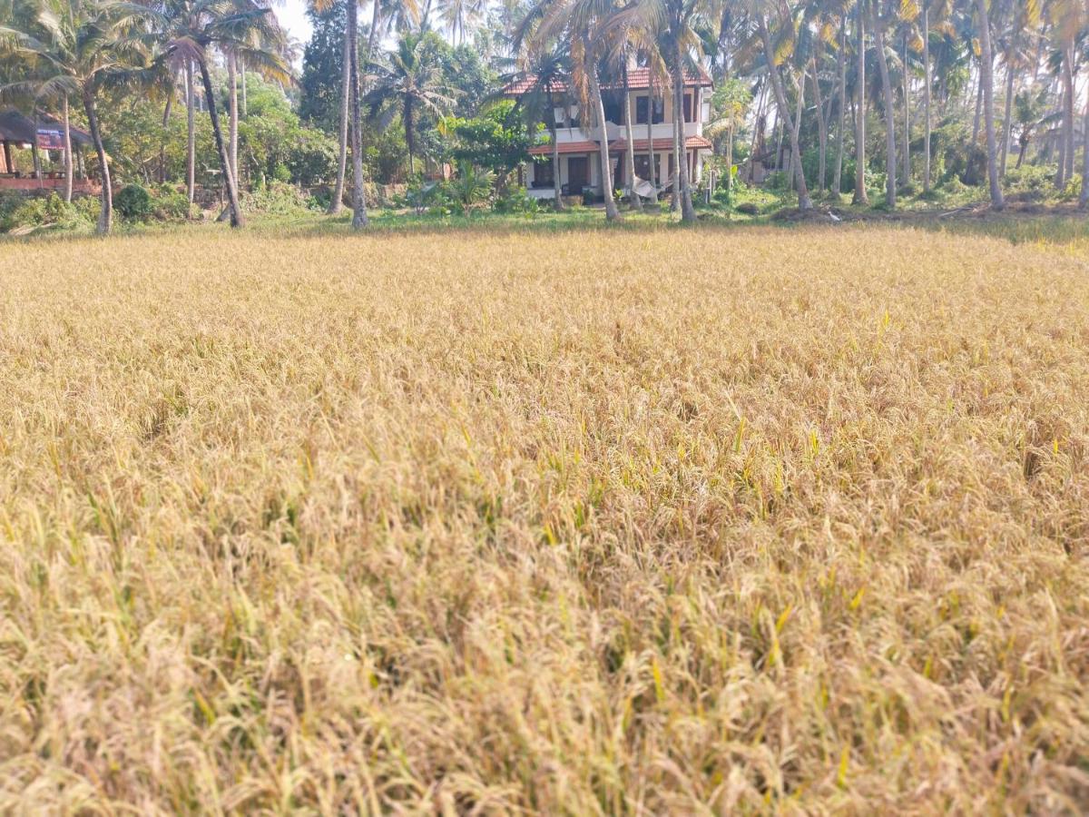 Готель Paddy Farm Heritage Варкала Екстер'єр фото